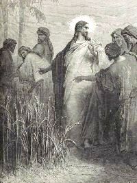 Gustave Dorè, La raccolta del grano